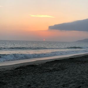 Meet your Posher, Arlette